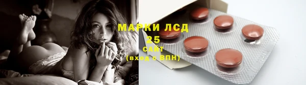 молекула духа Гусиноозёрск