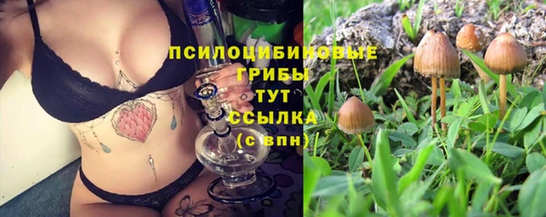 гашиш Гусев