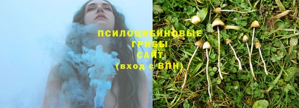 гашиш Гусев